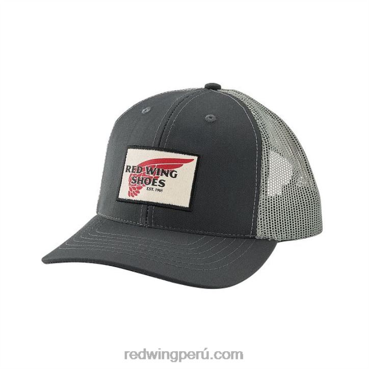 gris_carbon_x22t288_red_wing_gorro_de_punto_con_logotipo_estilo_97458_gorro_de_reloj_de_punto_unisex.jpg gris carbón X22T288 Red Wing gorro de punto con logotipo estilo 97458 gorro de reloj de punto unisex - Image 1