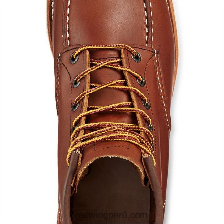 marrón X22T19 Red Wing cinturón de cuero modelo 96548 cinturón de hombre en cuero dakota - Image 4
